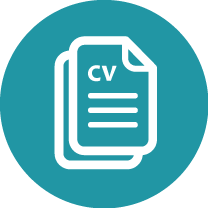 curriculum vitae