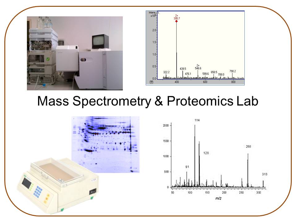 lab image