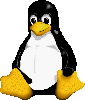 Pinguino di Linux!