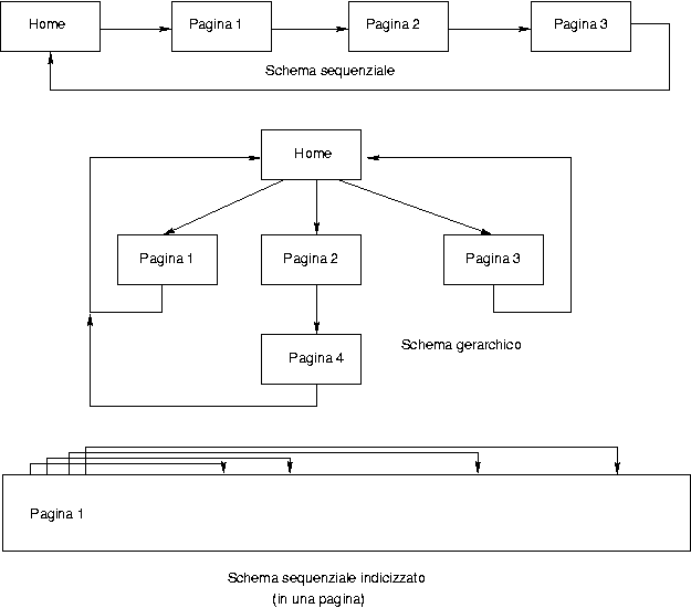 schema di organizzazione link